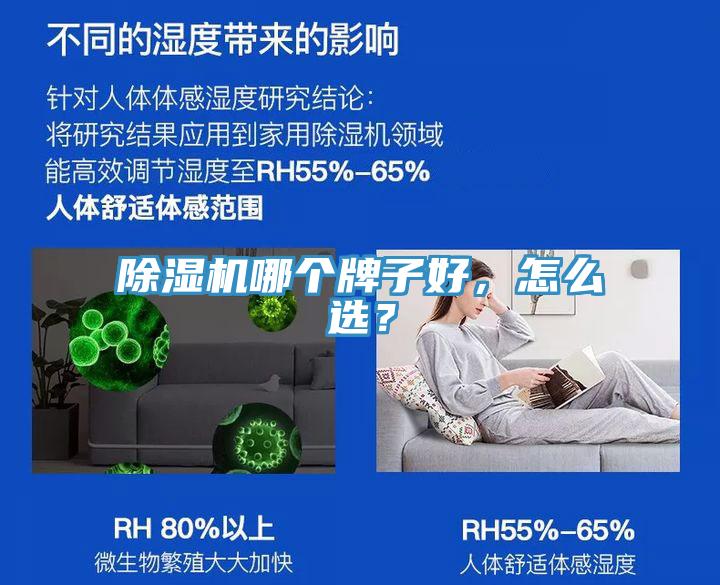 除濕機哪個牌子好，怎么選？