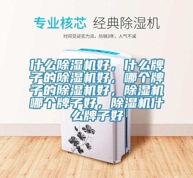 什么除濕機好，什么牌子的除濕機好，哪個牌子的除濕機好，除濕機哪個牌子好，除濕機什么牌子好