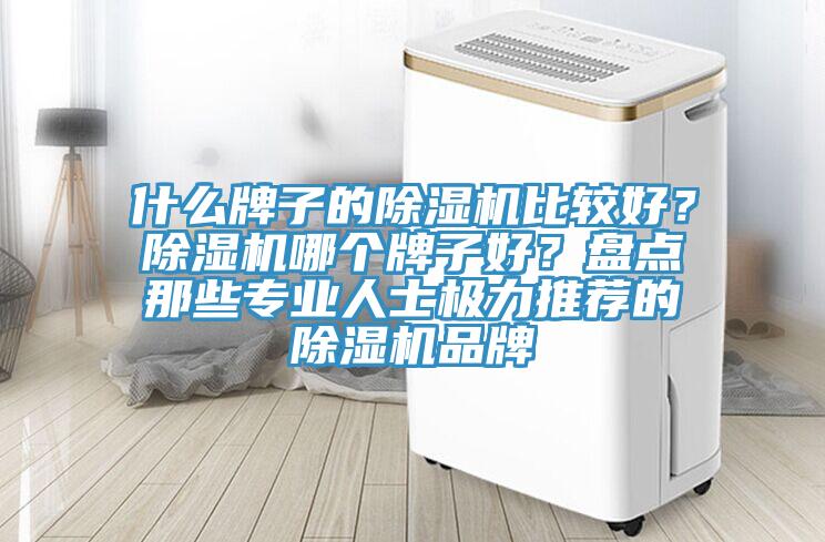 什么牌子的除濕機比較好？除濕機哪個牌子好？盤點那些專業(yè)人士極力推薦的除濕機品牌