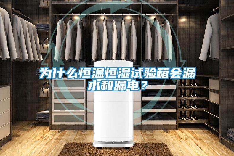 為什么恒溫恒濕試驗(yàn)箱會(huì)漏水和漏電？