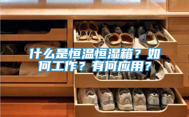什么是恒溫恒濕箱？如何工作？有何應用？