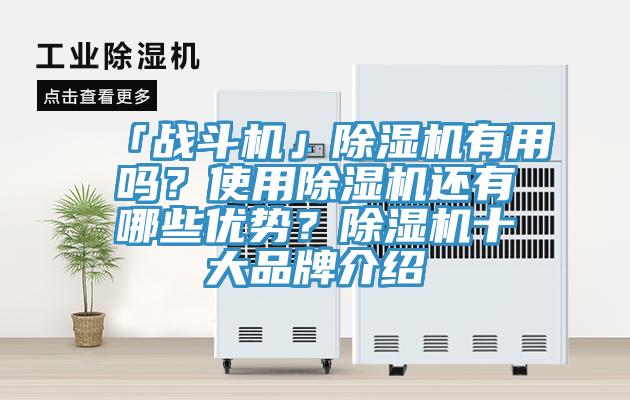 「戰(zhàn)斗機」除濕機有用嗎？使用除濕機還有哪些優(yōu)勢？除濕機十大品牌介紹