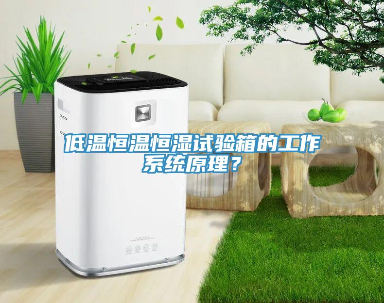 低溫恒溫恒濕試驗(yàn)箱的工作系統(tǒng)原理？