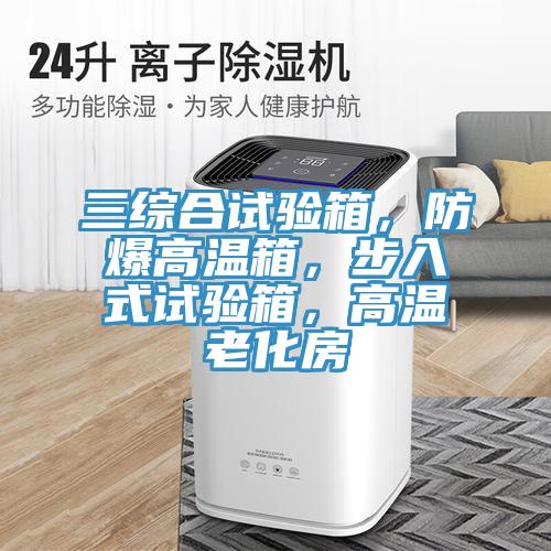 三綜合試驗箱，防爆高溫箱，步入式試驗箱，高溫老化房