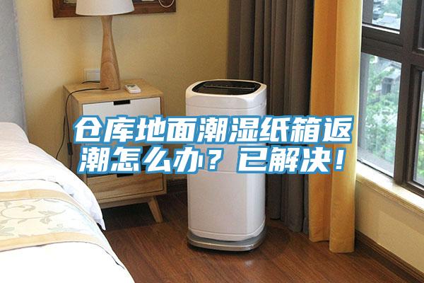 倉庫地面潮濕紙箱返潮怎么辦？已解決！