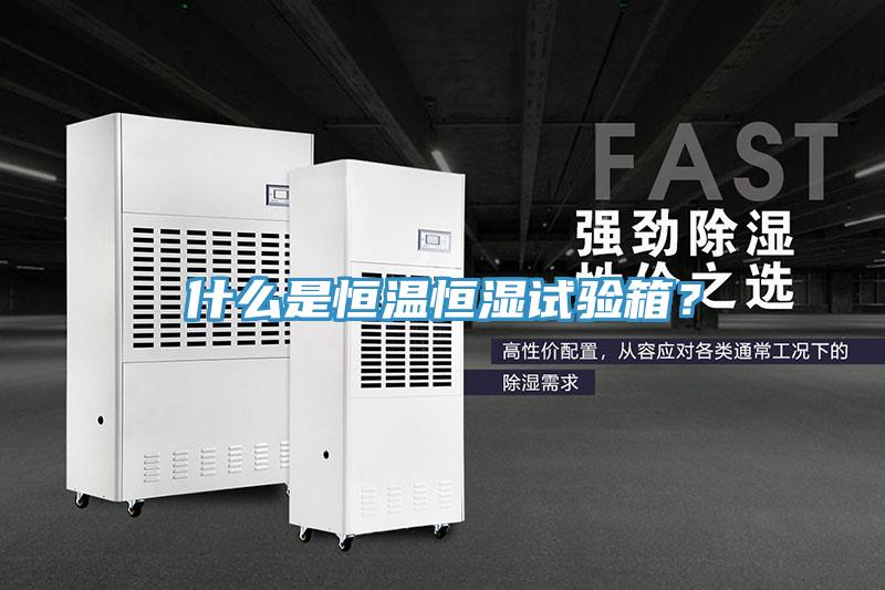 什么是恒溫恒濕試驗箱？