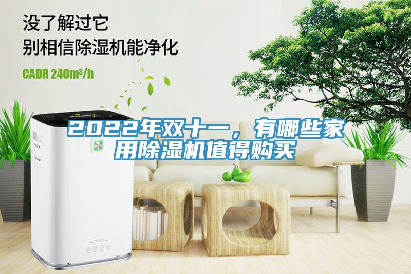 2022年雙十一，有哪些家用除濕機值得購買
