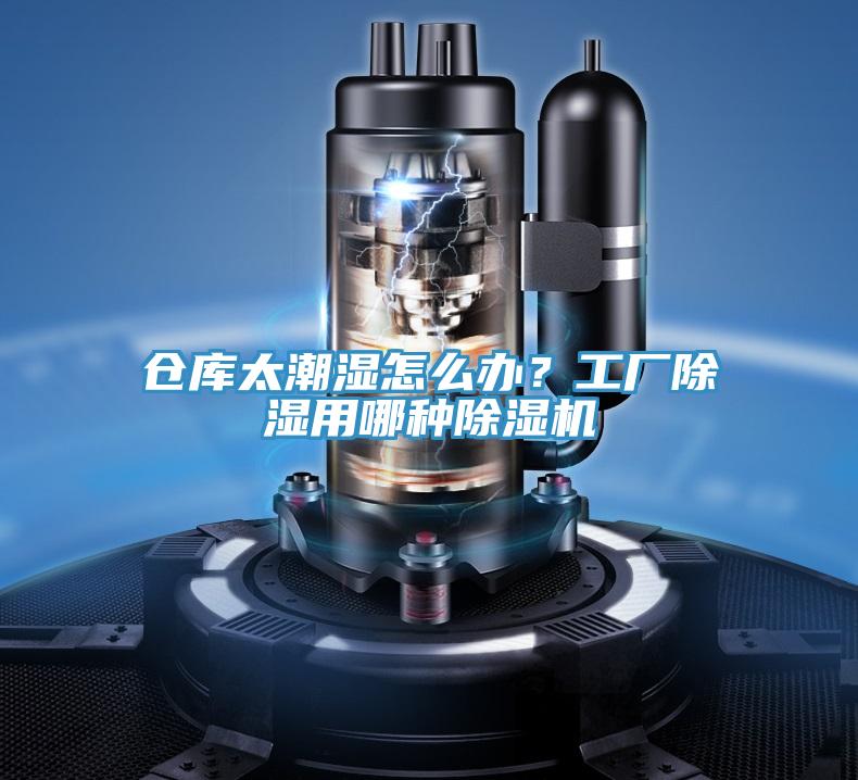 倉(cāng)庫(kù)太潮濕怎么辦？工廠除濕用哪種除濕機(jī)