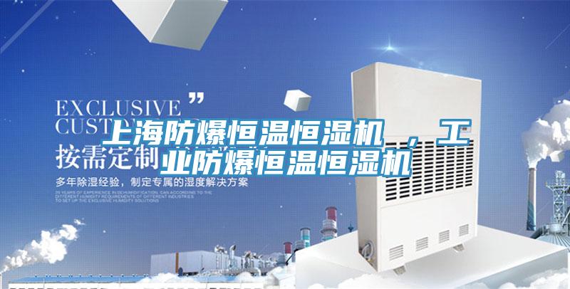 上海防爆恒溫恒濕機(jī) ，工業(yè)防爆恒溫恒濕機(jī)