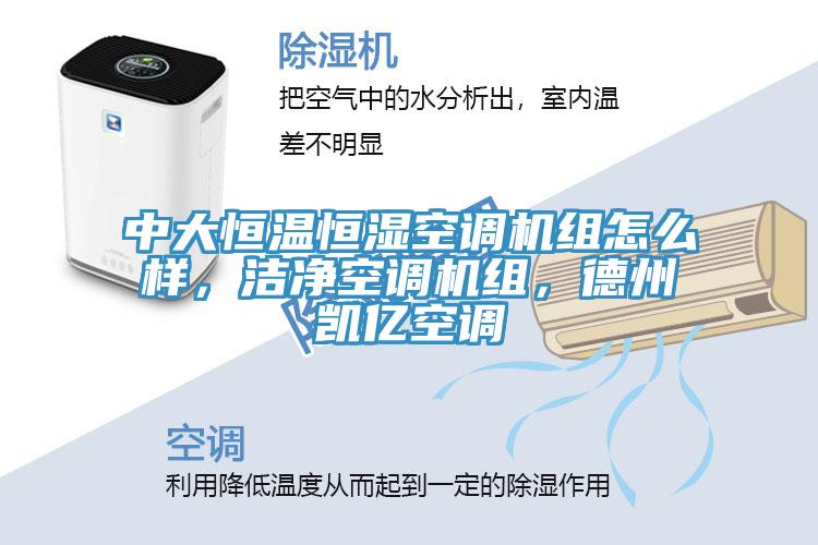 中大恒溫恒濕空調(diào)機(jī)組怎么樣，潔凈空調(diào)機(jī)組，德州凱億空調(diào)
