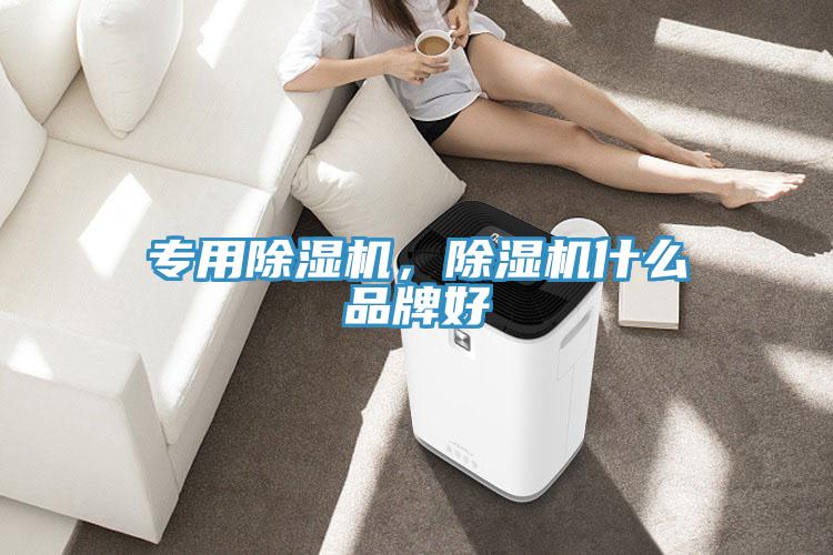 專用除濕機(jī)，除濕機(jī)什么品牌好
