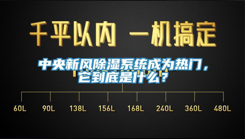 中央新風(fēng)除濕系統(tǒng)成為熱門(mén)，它到底是什么？
