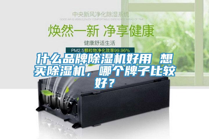 什么品牌除濕機(jī)好用 想買除濕機(jī)，哪個牌子比較好？