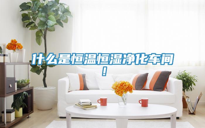 什么是恒溫恒濕凈化車間！