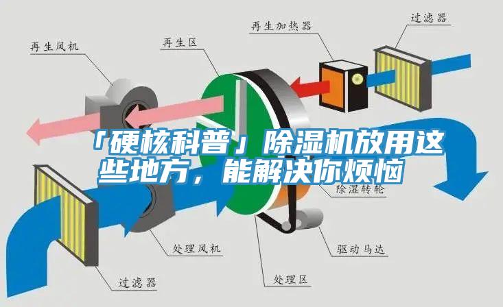 「硬核科普」除濕機放用這些地方，能解決你煩惱