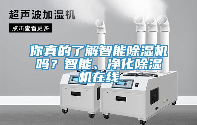 你真的了解智能除濕機嗎？智能、凈化除濕機在線