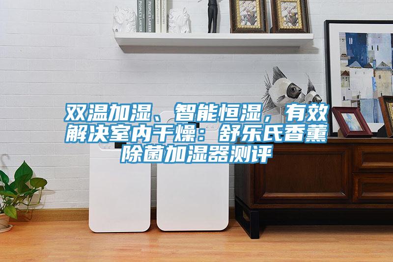 雙溫加濕、智能恒濕，有效解決室內(nèi)干燥：舒樂氏香薰除菌加濕器測(cè)評(píng)