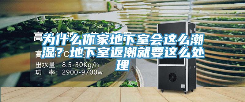 為什么你家地下室會這么潮濕？地下室返潮就要這么處理