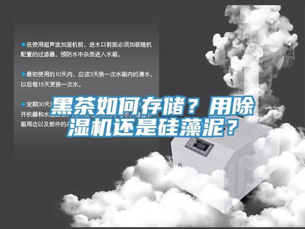 黑茶如何存儲？用除濕機還是硅藻泥？