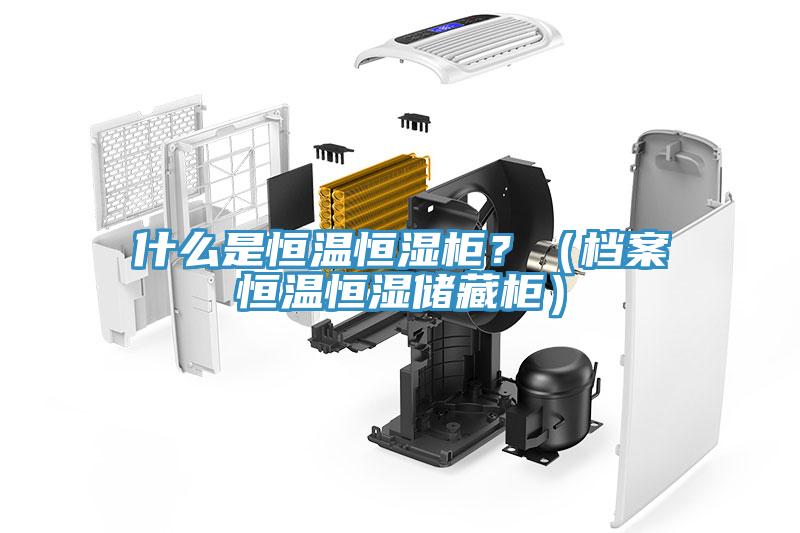 什么是恒溫恒濕柜？（檔案恒溫恒濕儲藏柜）