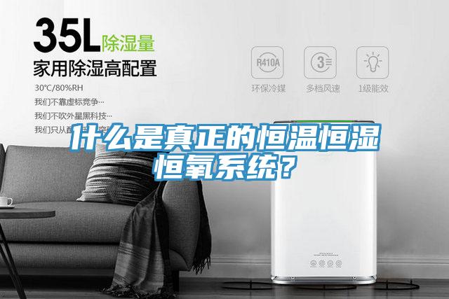 什么是真正的恒溫恒濕恒氧系統(tǒng)？