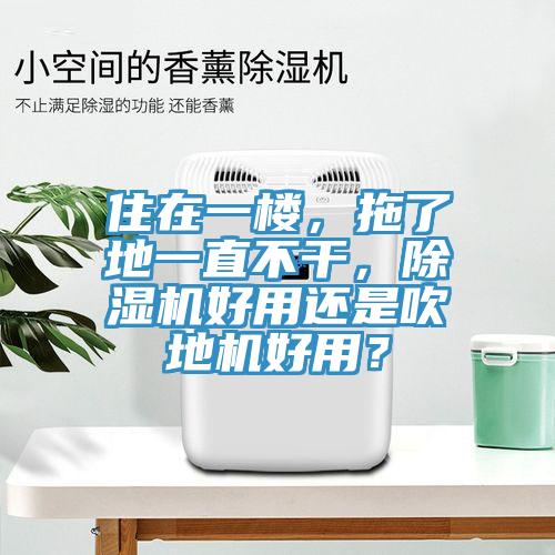 住在一樓，拖了地一直不干，除濕機好用還是吹地機好用？