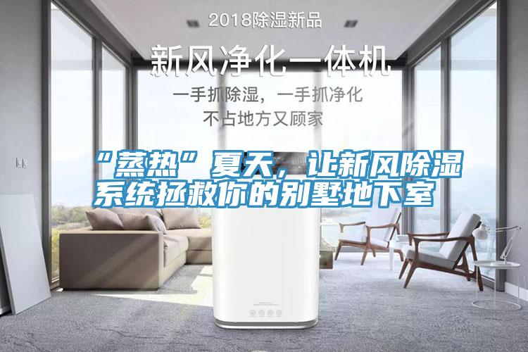 “蒸熱”夏天，讓新風除濕系統(tǒng)拯救你的別墅地下室