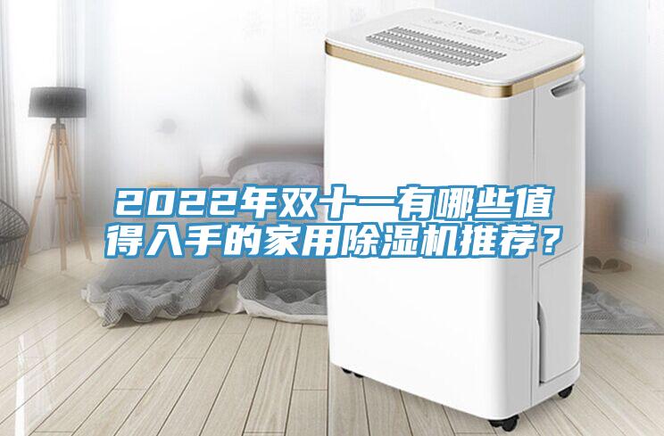 2022年雙十一有哪些值得入手的家用除濕機推薦？
