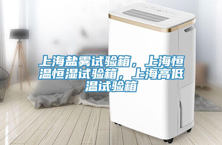 上海鹽霧試驗箱，上海恒溫恒濕試驗箱，上海高低溫試驗箱