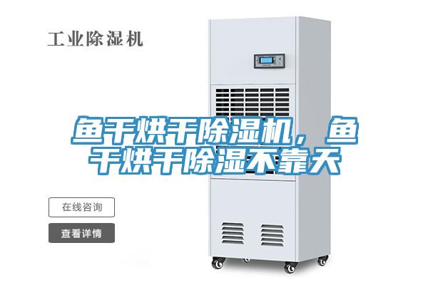 魚干烘干除濕機，魚干烘干除濕不靠天