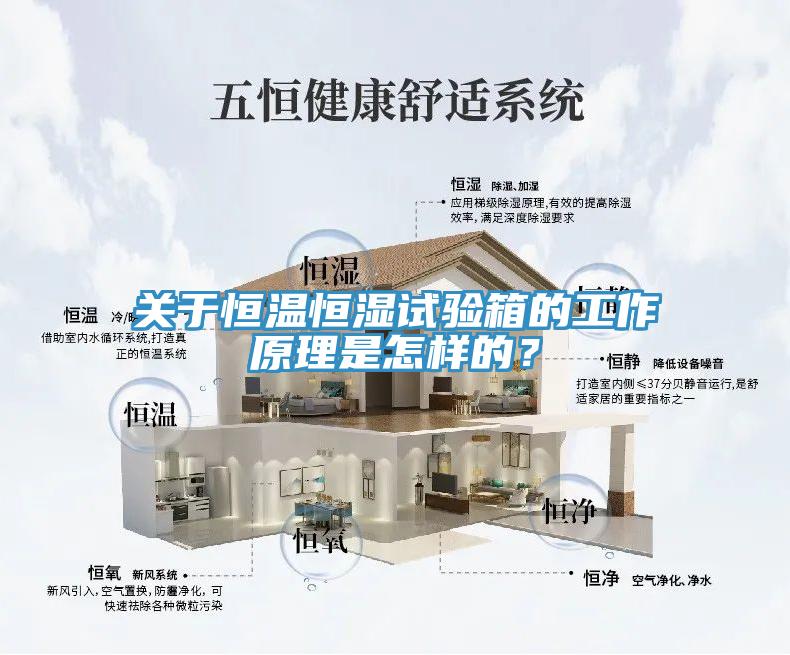 關于恒溫恒濕試驗箱的工作原理是怎樣的？