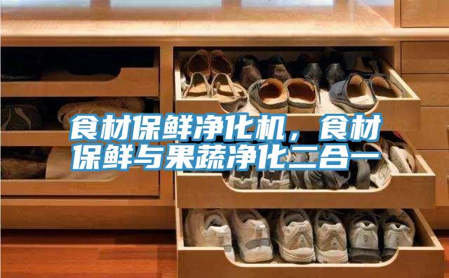 食材保鮮凈化機(jī)，食材保鮮與果蔬凈化二合一