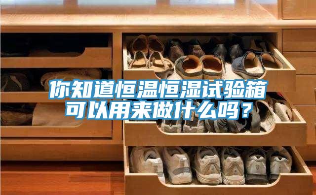 你知道恒溫恒濕試驗(yàn)箱可以用來(lái)做什么嗎？
