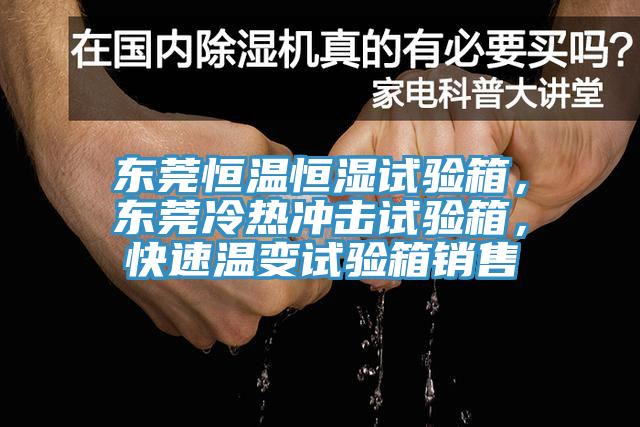 東莞恒溫恒濕試驗箱，東莞冷熱沖擊試驗箱，快速溫變試驗箱銷售