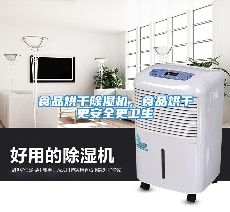 食品烘干除濕機(jī)，食品烘干更安全更衛(wèi)生