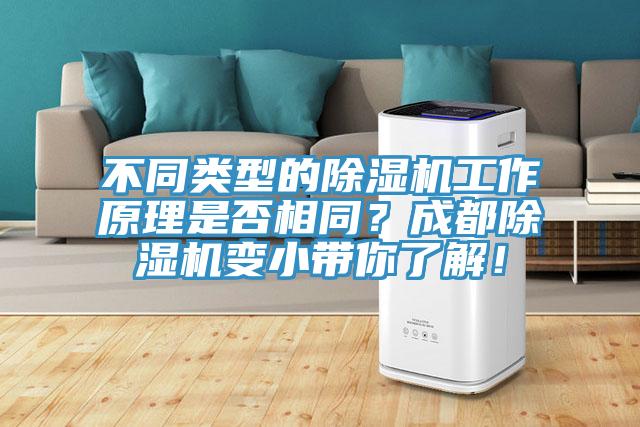 不同類型的除濕機工作原理是否相同？成都除濕機變小帶你了解！