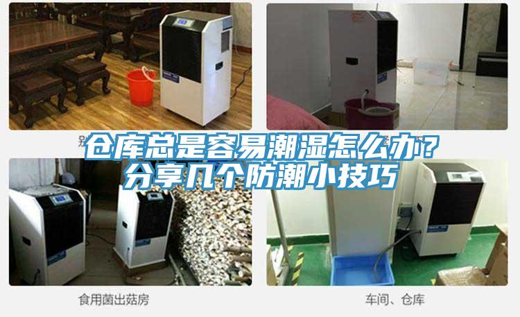 倉(cāng)庫(kù)總是容易潮濕怎么辦？分享幾個(gè)防潮小技巧