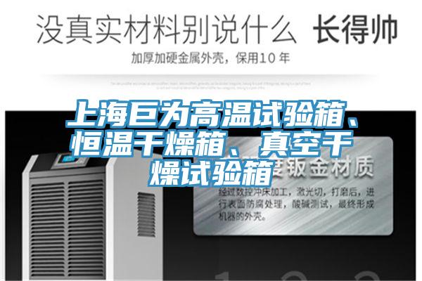 上海巨為高溫試驗(yàn)箱、恒溫干燥箱、真空干燥試驗(yàn)箱