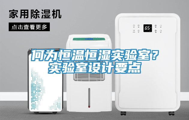 何為恒溫恒濕實(shí)驗(yàn)室？實(shí)驗(yàn)室設(shè)計(jì)要點(diǎn)