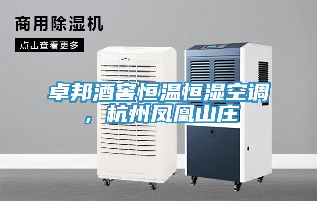 卓邦酒窖恒溫恒濕空調(diào)，杭州鳳凰山莊