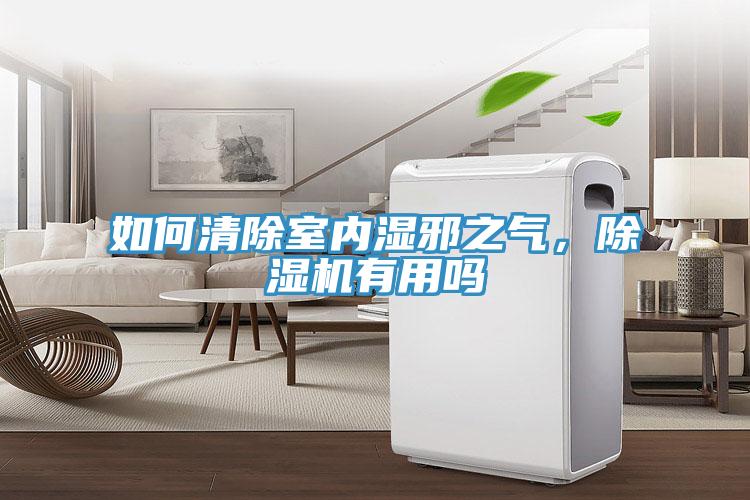 如何清除室內(nèi)濕邪之氣，除濕機有用嗎