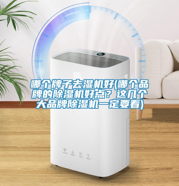 哪個(gè)牌子去濕機(jī)好(哪個(gè)品牌的除濕機(jī)好點(diǎn)？這幾個(gè)大品牌除濕機(jī)一定要看)
