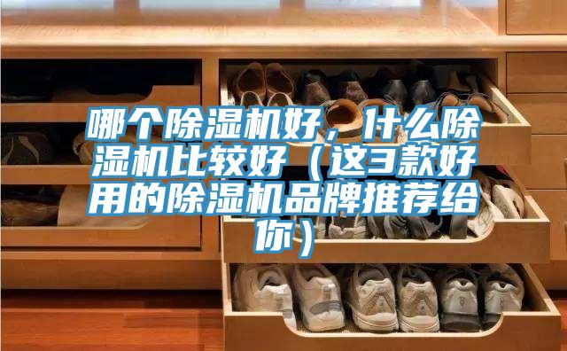 哪個(gè)除濕機(jī)好，什么除濕機(jī)比較好（這3款好用的除濕機(jī)品牌推薦給你）