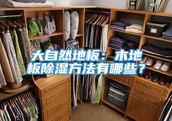 大自然地板：木地板除濕方法有哪些？