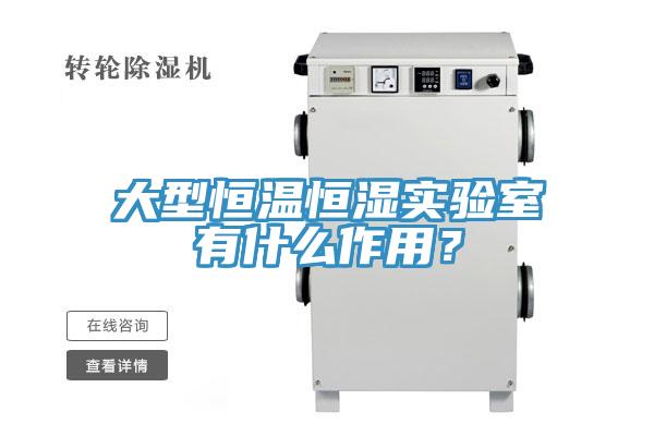 大型恒溫恒濕實(shí)驗(yàn)室有什么作用？