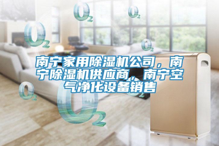 南寧家用除濕機公司，南寧除濕機供應(yīng)商，南寧空氣凈化設(shè)備銷售