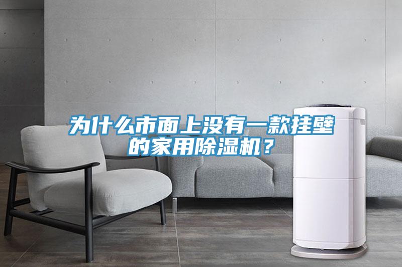 為什么市面上沒有一款掛壁的家用除濕機？