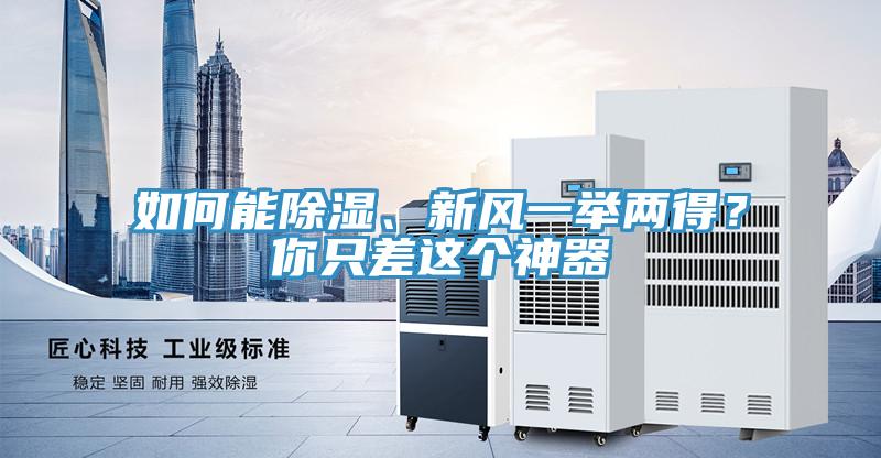 如何能除濕、新風(fēng)一舉兩得？你只差這個神器