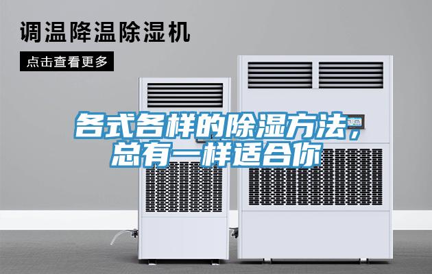 各式各樣的除濕方法，總有一樣適合你