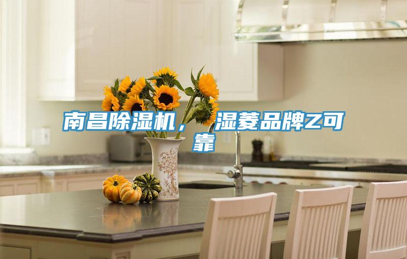 南昌除濕機(jī)， 濕菱品牌Z可靠